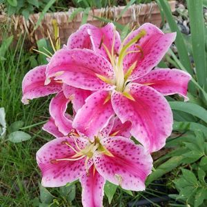 Meet your Posher, Stacie